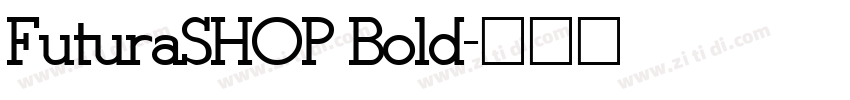 FuturaSHOP Bold字体转换